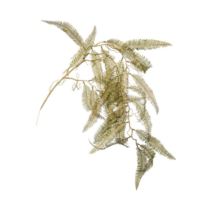 RAMO EDHEL FELCE SLIM VERDE ORO H.100CM